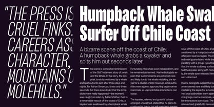 Bloyd Font Poster 15