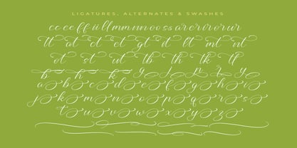 Higland Amaranth Font Poster 14