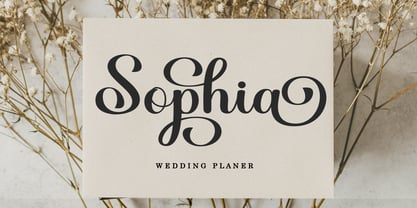 Hello Samantha Italic Font Poster 4