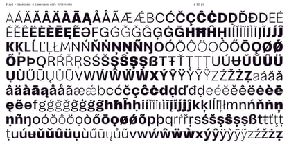 Bloyd Variable Font Poster 11