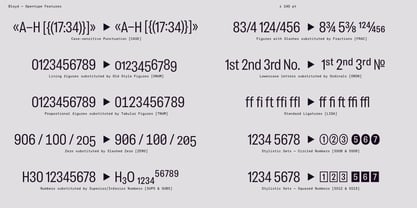 Bloyd Variable Font Poster 13