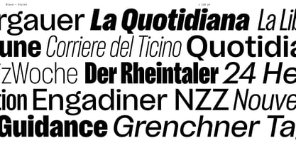 Bloyd Variable Font Poster 7