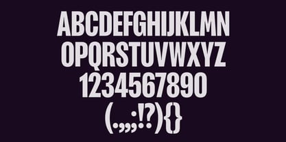 Bloyd Variable Font Poster 5