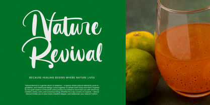 Practice Snack Font Poster 9