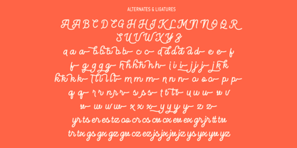 Slightly Famous Font Poster 9