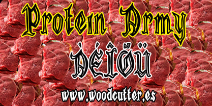 Protein Army Font Poster 5