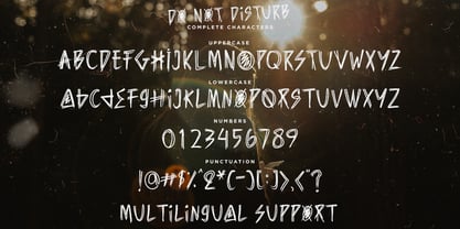 Do Not Disturb Font Poster 8