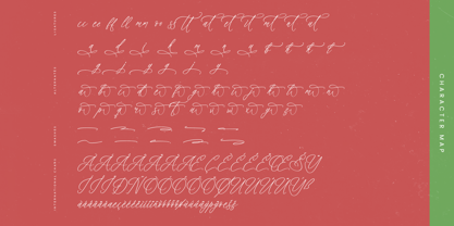 Magnolia Florale Font Poster 8