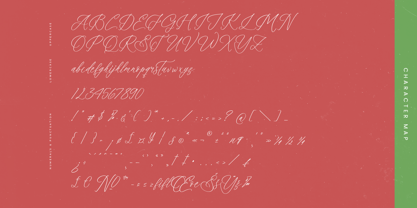 Magnolia Florale Font Poster 7