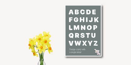 Monkey Banana Font Poster 3