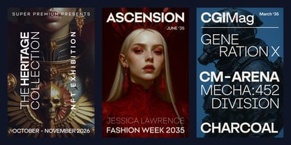 Cubron Grotesk Font Poster 11