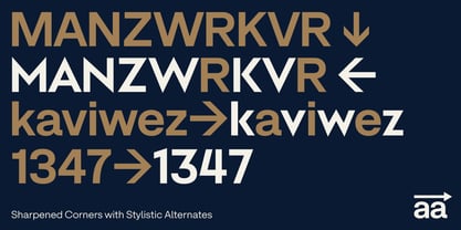 Cubron Grotesk Font Poster 9