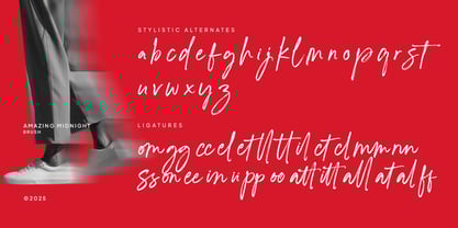 Amazing Midnight Font Poster 12