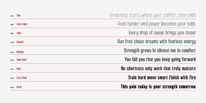 Amazing Midnight Font Poster 15