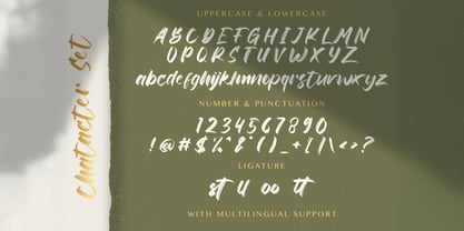 Rinjany Font Poster 7