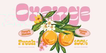 Gilou Font Poster 11