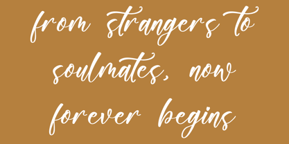 Floralis Morning Font Poster 13