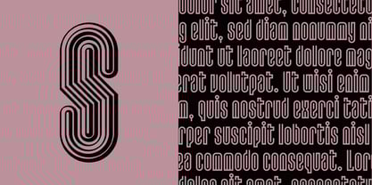 Lusta Font Poster 5