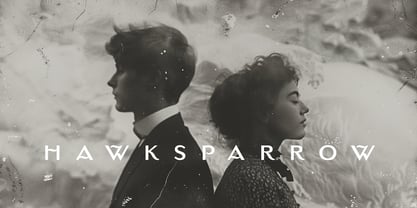 Sparrowhawk Font Poster 2