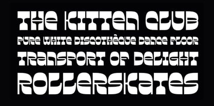 Laydeez Nite Font Poster 4