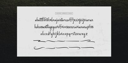 Serena Note Font Poster 12