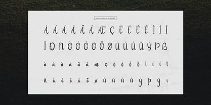 Serena Note Font Poster 11