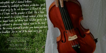 Serena Note Font Poster 3