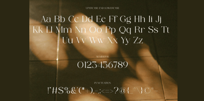 Diemora Font Poster 10