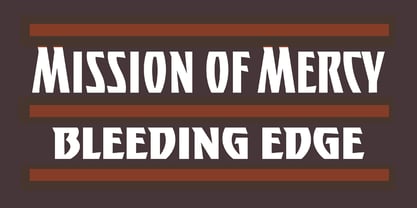 Panther Black Font Poster 4