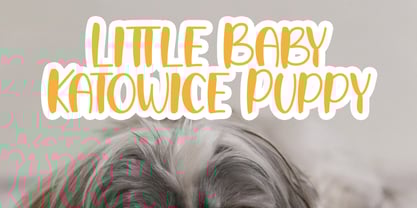 Agil Script Font Poster 4