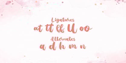 Agil Script Font Poster 8