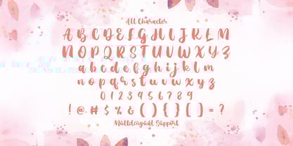 Agil Script Font Poster 7