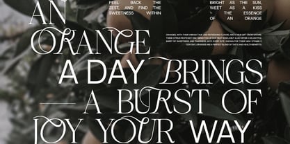 Rauleko Font Poster 4