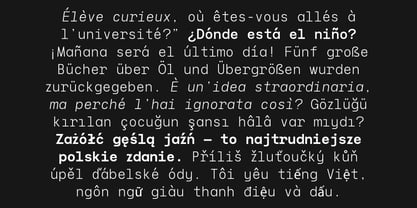 Naru Mono Font Poster 3