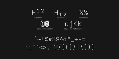 Naru Mono Font Poster 10