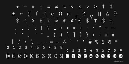 Naru Mono Font Poster 12