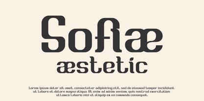 Briesa Font Poster 3
