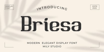 Briesa Font Poster 1