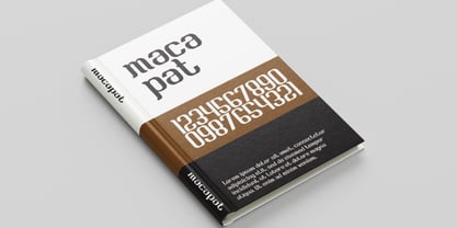 Briesa Font Poster 14