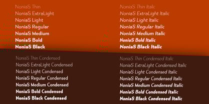 Nonia Small Font Poster 3