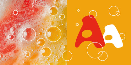 Reasonist Font Poster 3