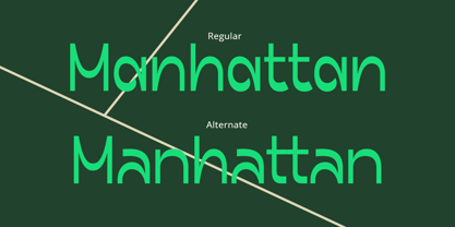 Palgars Font Poster 6