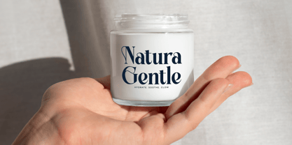 Bralge Font Poster 7