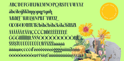 Bralge Font Poster 15