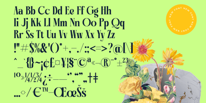 Bralge Font Poster 14