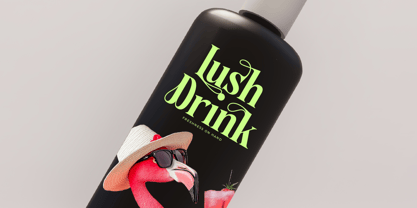 Bralge Font Poster 5