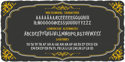 Country Theater Font Poster 6
