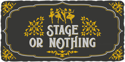 Country Theater Font Poster 4