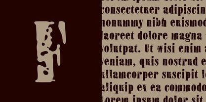 Reliquary 17 Font Poster 5