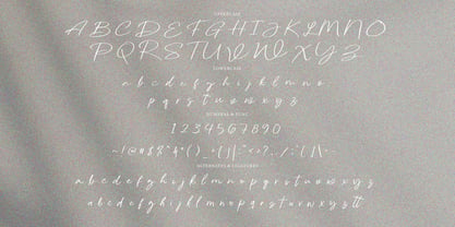 Riyoda Signature Font Poster 6